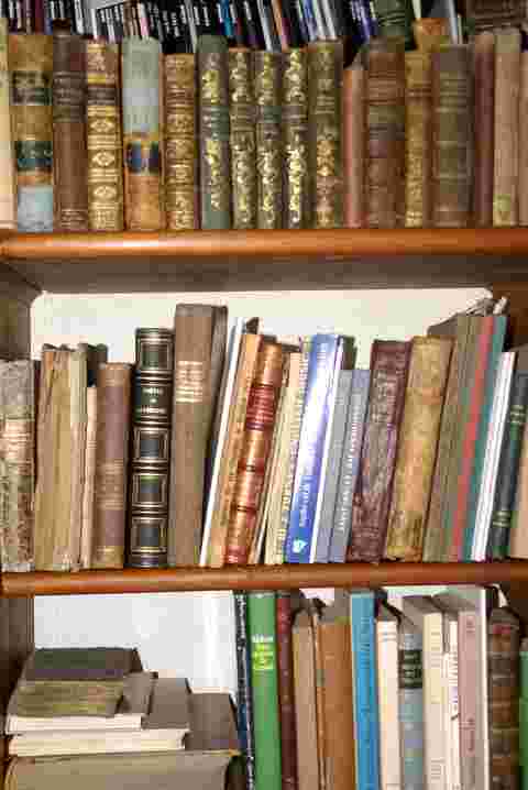 Bücher, Bücher, Bücher